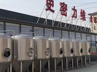 仙桃精酿啤酒设备厂—如何判断精酿啤酒设备的密封件需要更换？